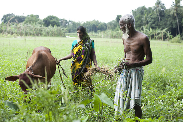 Durante il corso di formazione, ai partecipanti è stato spiegato che l'allevamento non da un guadagno immediato ma che costituisce una fonte di reddito sostenibile una volta che l’animale diventa adulto. Allevare una mucca in un villaggio rurale è un’attività quasi a costo zero grazie all’abbondanza di erba e di altro cibo. Quindi, Rahela è in grado di provvedere al vitello senza alcun costo.